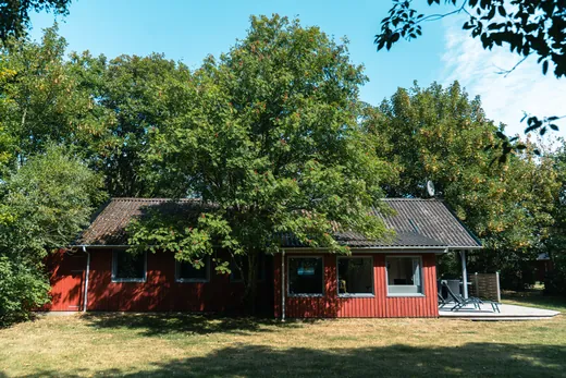 Alte Bäume rund um das gesamte Naturgrundstück.
