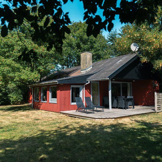 Das Haus von der Rasenfläche unter den hohen Bäumen